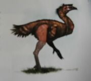 SkullIslandsWildife025