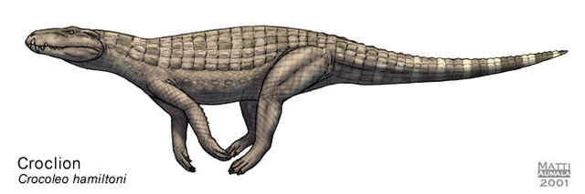 File:Croclion.jpg