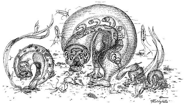 File:Larvanasus.gif