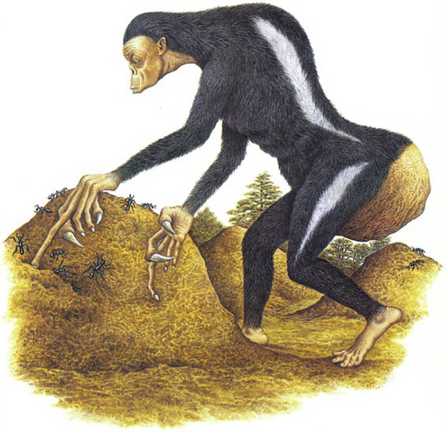 File:Antmen.png