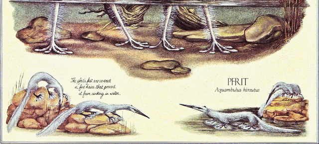File:Pfrit.gif