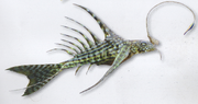 Stegoichthys ornatus