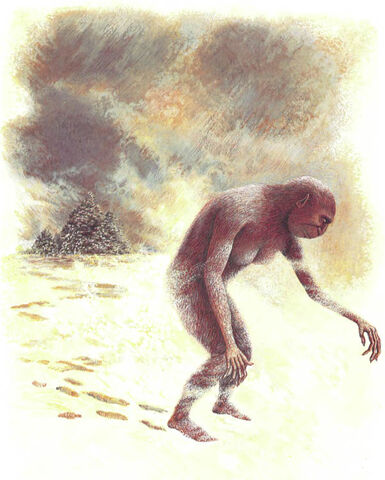 File:Memory people.jpg