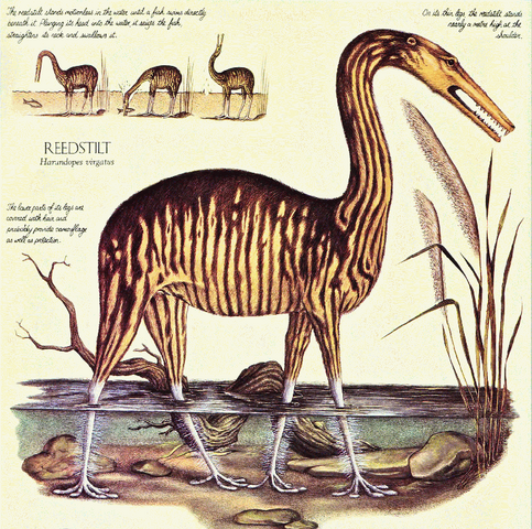 File:Reedstilt.png