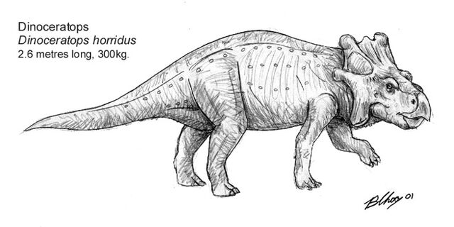 File:Dincerat1.jpg
