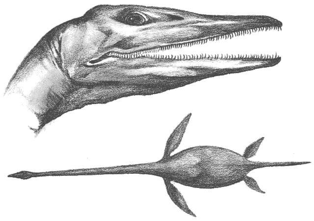 File:Birdsnatcher 2.gif