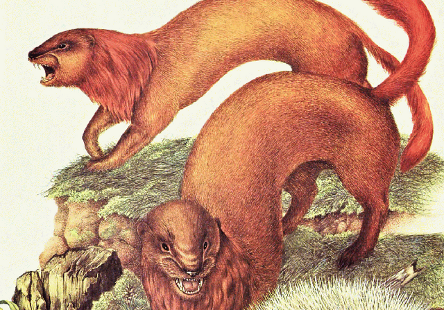 File:Pamthret.png