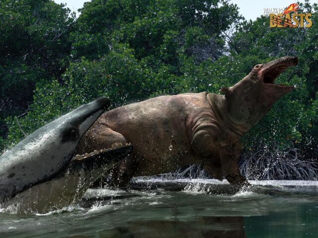 File:Basilosaurus8.jpg