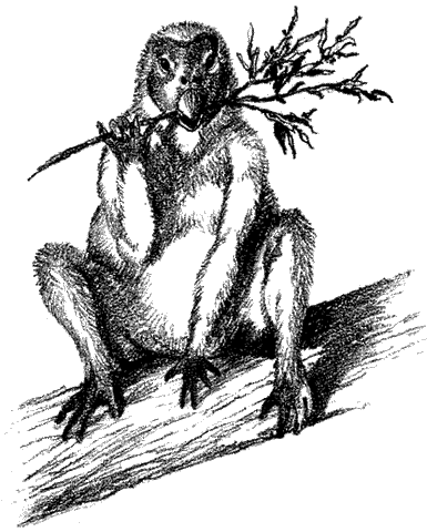 File:Tubb 2.gif