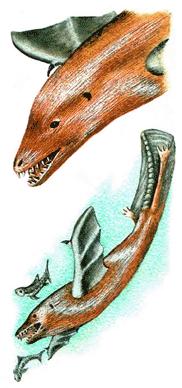 File:After Man - Surfbat.jpg