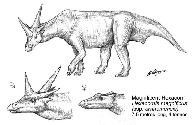File:Euclasaur5.jpg