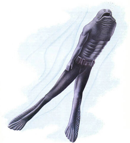 File:Aquamorph.jpg