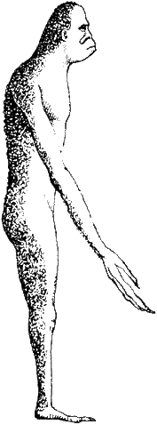 File:Parasite side.gif
