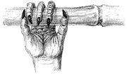 Taddey 3