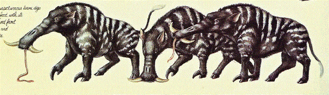 File:Turmis.gif