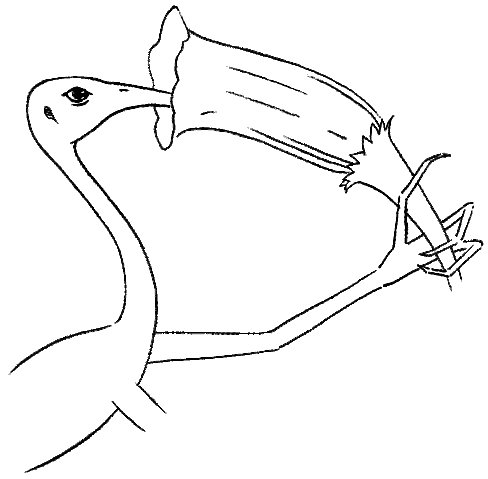 File:Gimp feeding.gif