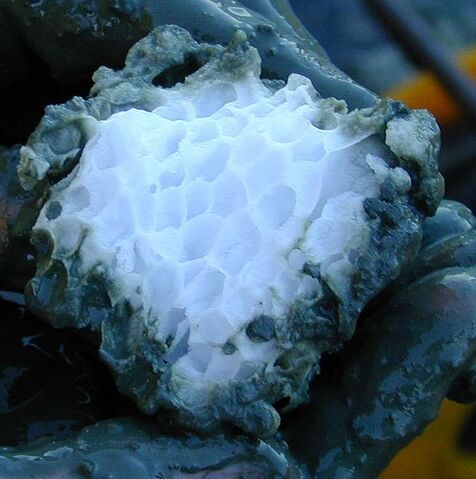 File:Methane clathrate.jpg