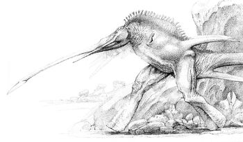 Arrowtongue striking