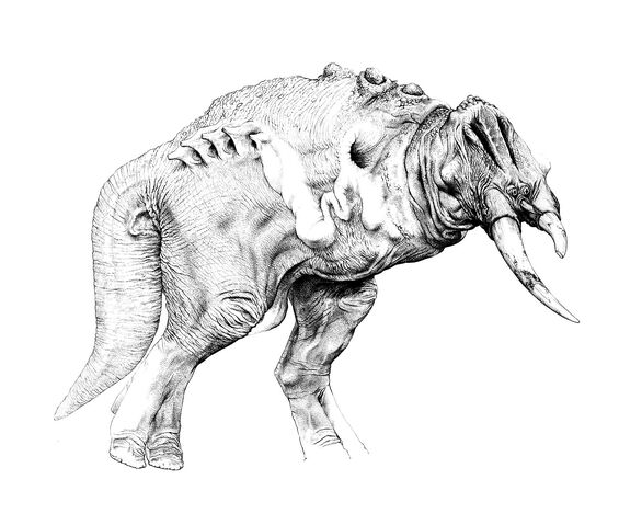 File:Unth-copy1.jpg