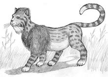 Pseudleo