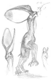 Flightless tapejarid