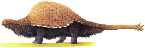 Taranter