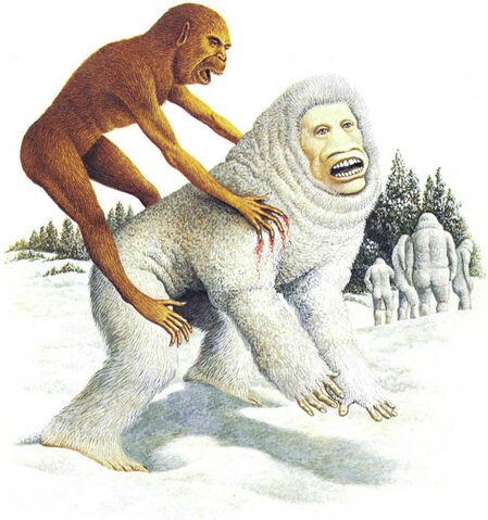 File:Temperate tundra.jpg