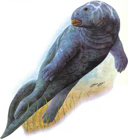 File:Watergulp.jpg
