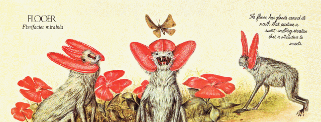 File:Flooer.gif