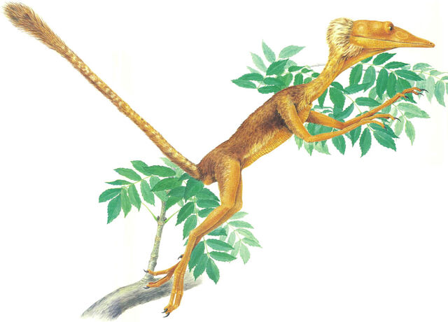 File:Tree Hopper.jpg