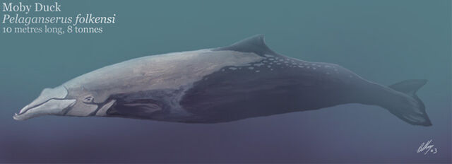 File:Moby.jpg