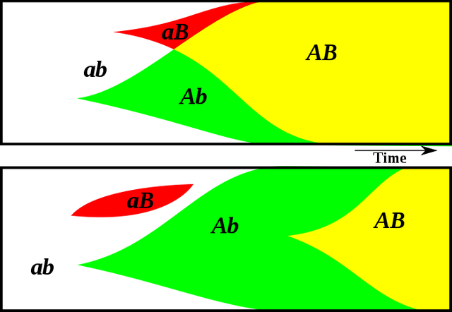 File:Sex evolution.png