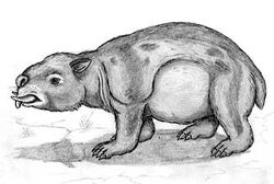 Odvombat