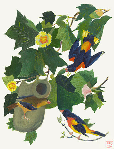 File:Bird.jpg