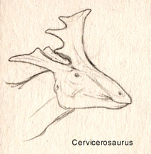 File:Cerviceros.jpg