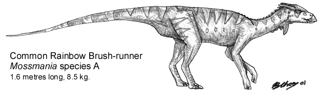 File:Euclasaur4.jpg