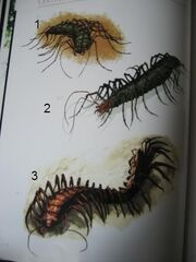 SkullIslandsWildife042