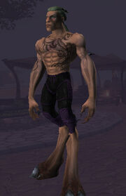 TempestLeggingsEQ