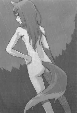 Файл:Spice and Wolf Vol 02 p339.jpg