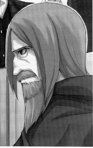 File:Huskins Light Novel.png