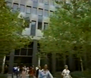 1977 Daily Bugle