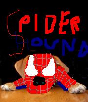 SpiderHound