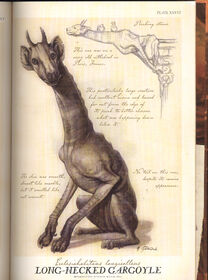Long-Necked Gargoyle