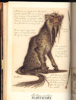Manticora