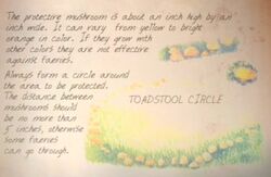 Toadstoolcircle