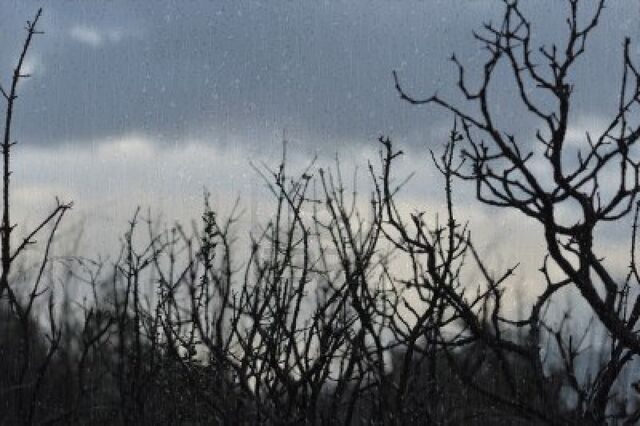 Datei:9217289-baum-zweige-silhouette-und-dunklen-winter-sky-durch-fenster-mit-regentropfen-gesehen.jpg