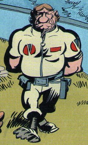 Fichier:Poppy Bronco.jpg