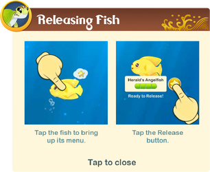 Tutorial§10 Releasing Fish