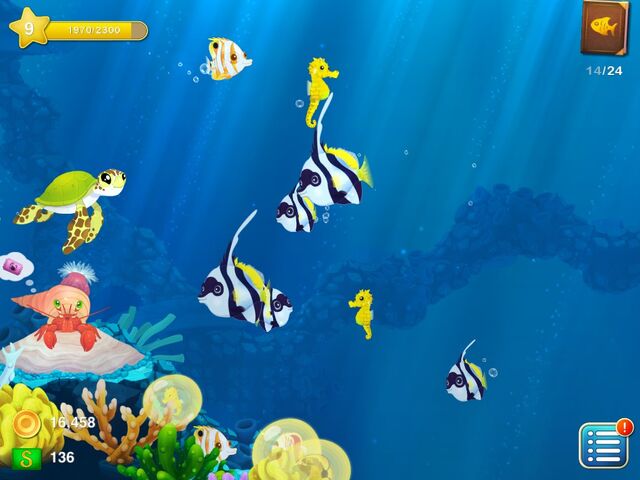 File:Bannerfish and Tiger-Tails.jpg