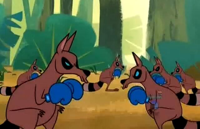 File:Kangaraccoons.jpg
